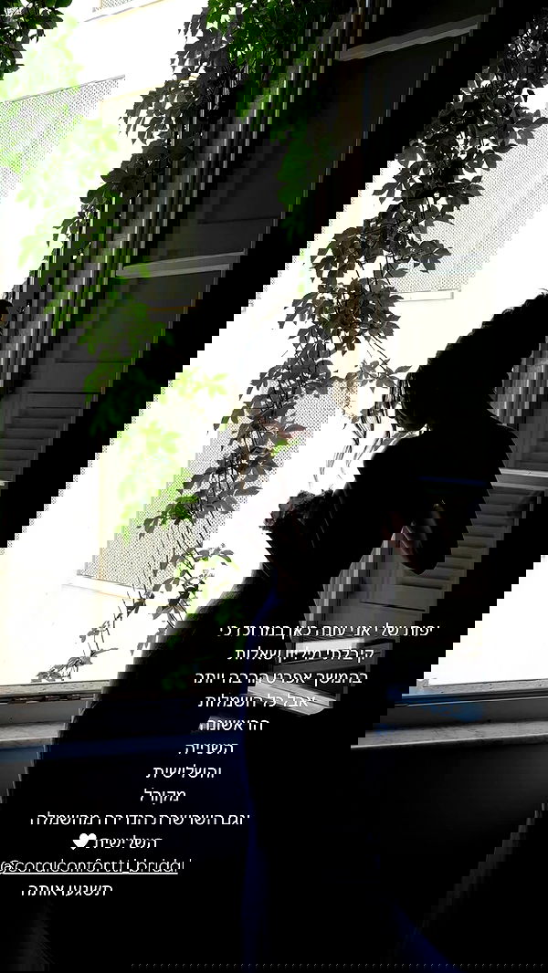 roni.benshushan roni.benshushan archive image