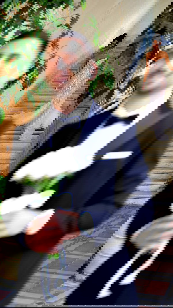 roni.benshushan roni.benshushan archive image