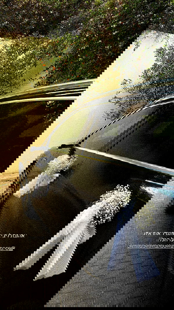 roni.benshushan roni.benshushan archive image