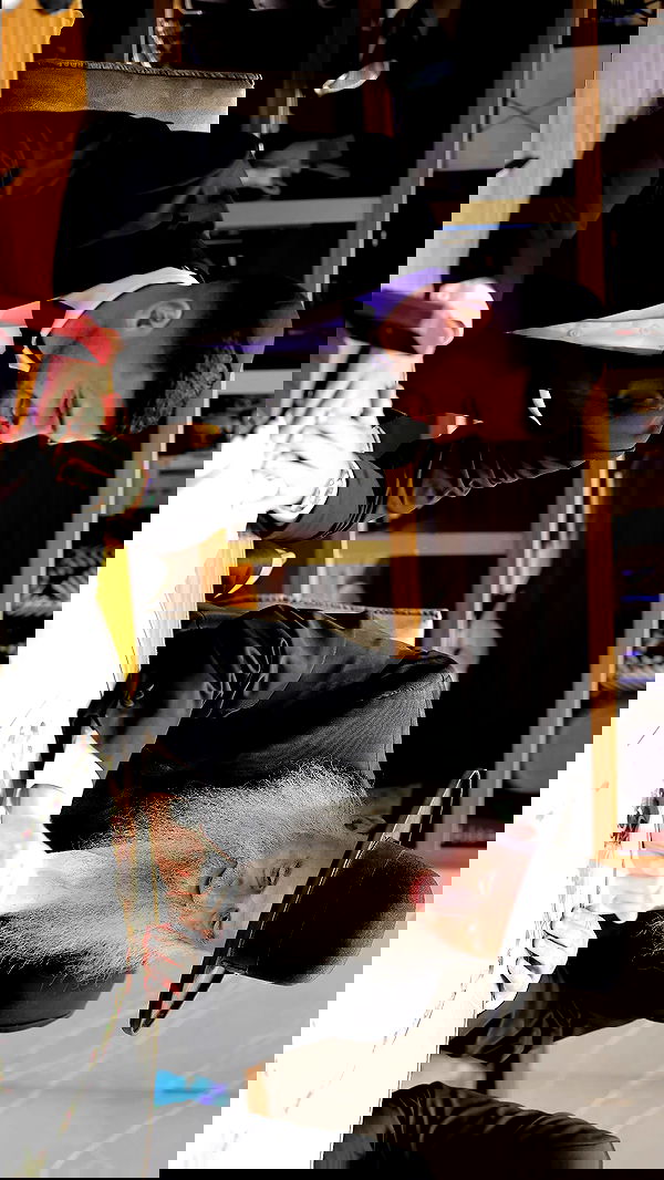 roni.benshushan roni.benshushan archive image