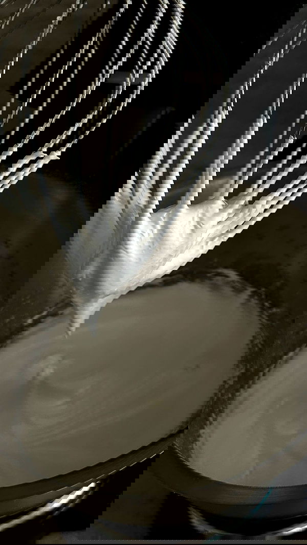 roni.benshushan roni.benshushan archive image