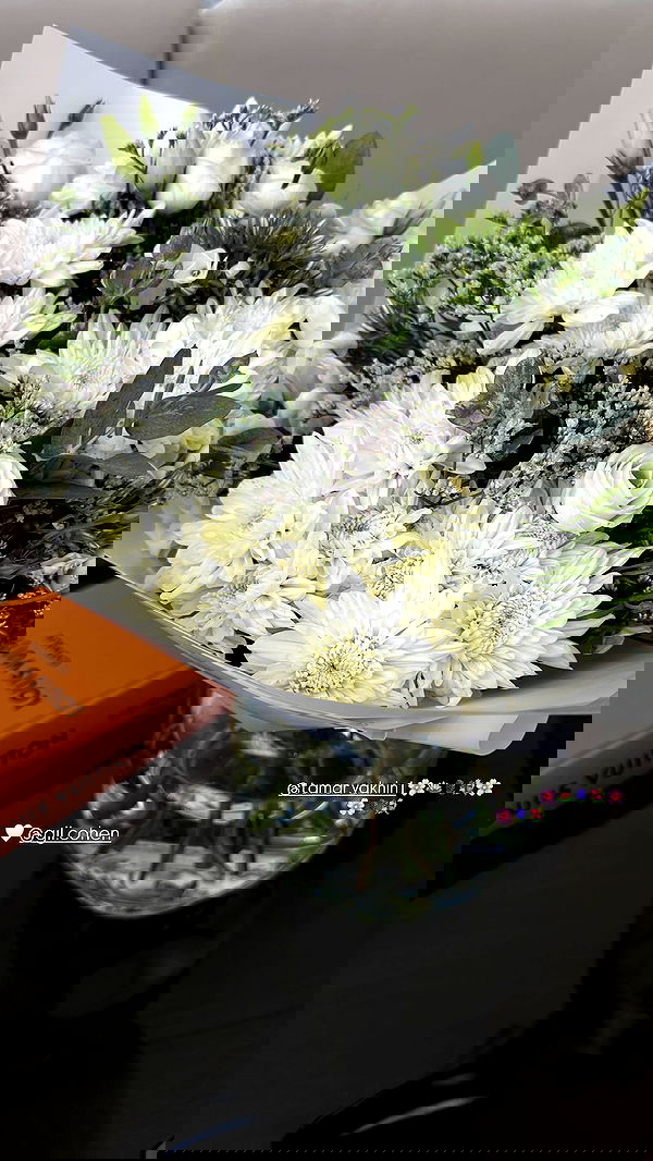 roni.benshushan roni.benshushan archive image