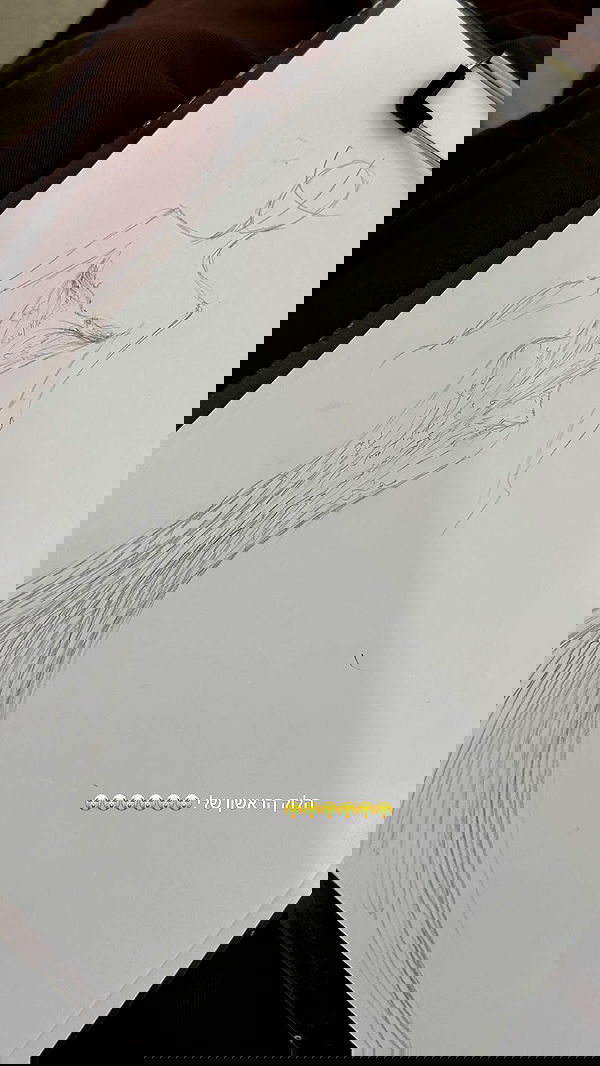 roni.benshushan roni.benshushan archive image