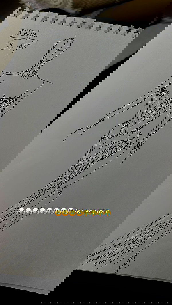 roni.benshushan roni.benshushan archive image