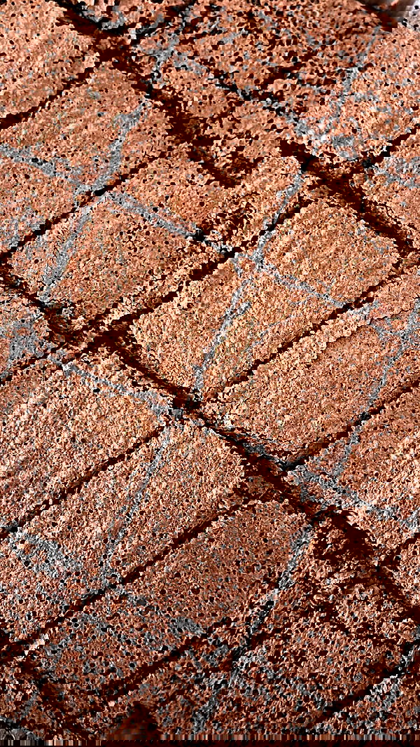 roni.benshushan roni.benshushan archive image