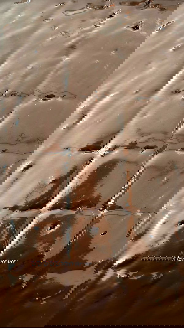 roni.benshushan roni.benshushan archive image