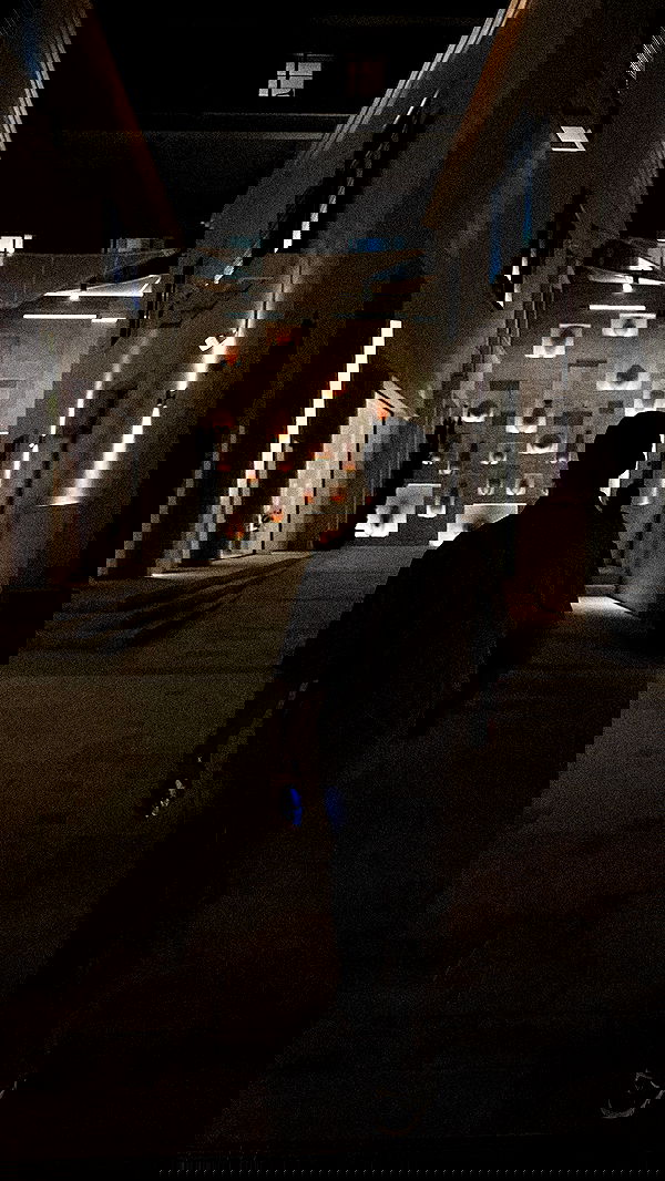 roni.benshushan roni.benshushan archive image