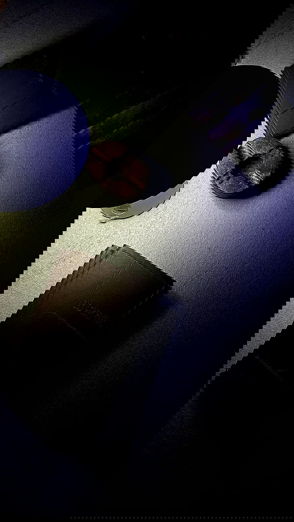 roni.benshushan roni.benshushan archive image