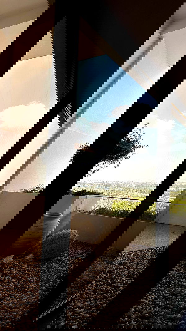 roni.benshushan roni.benshushan archive image