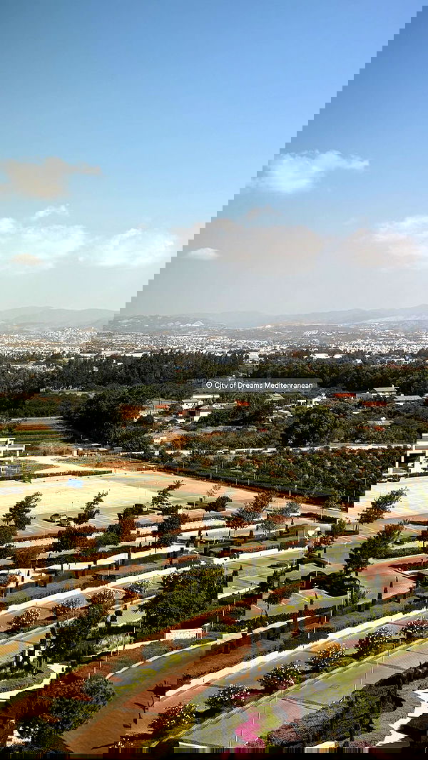 roni.benshushan roni.benshushan archive image