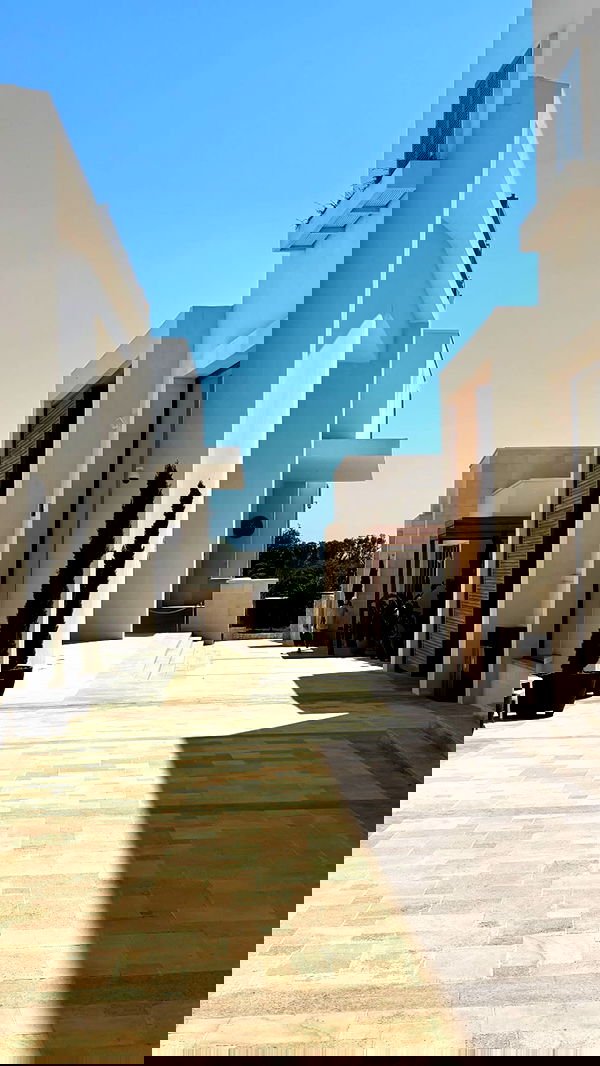 roni.benshushan roni.benshushan archive image