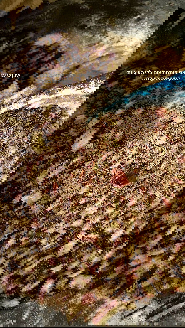 roni.benshushan roni.benshushan archive image