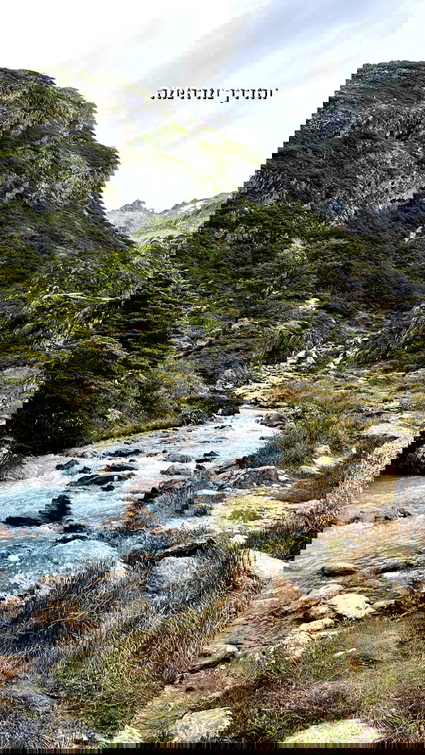 roni__moalem image ~ Altpins