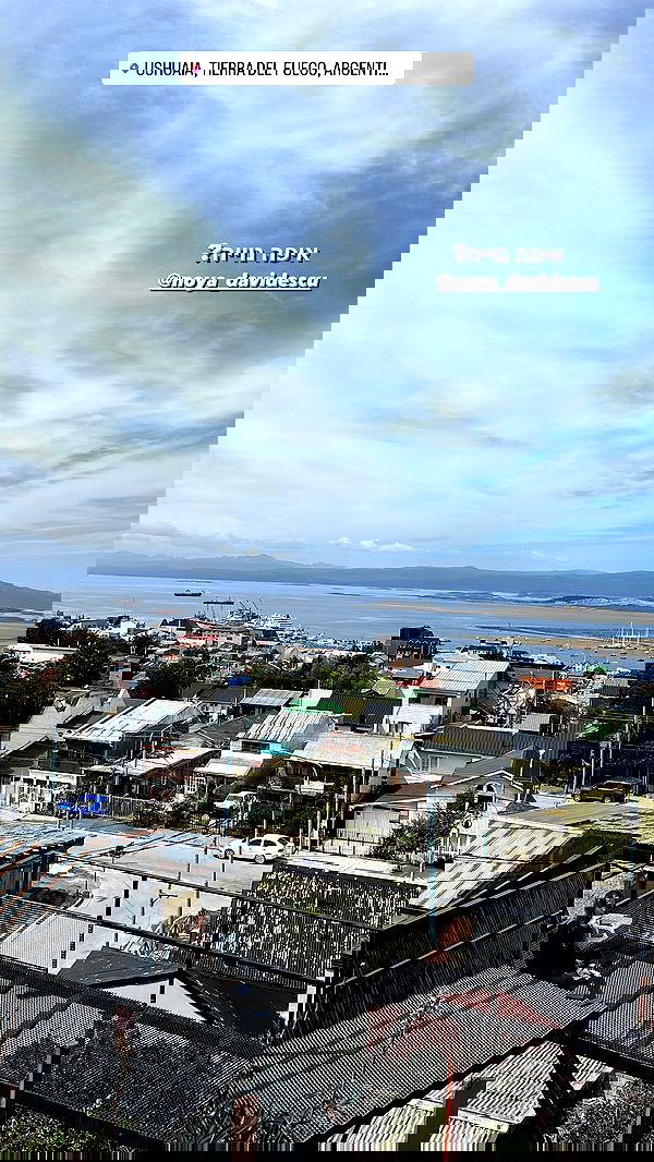 roni__moalem image ~ Altpins