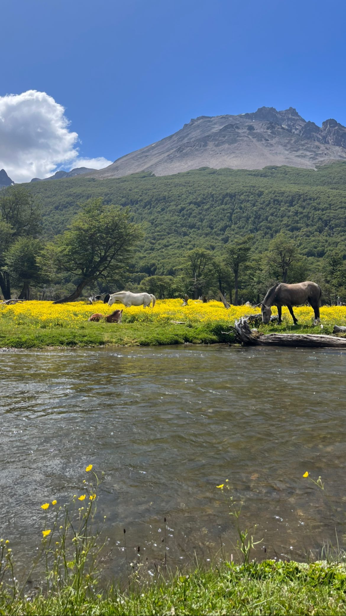 roni__moalem instagram image archive image