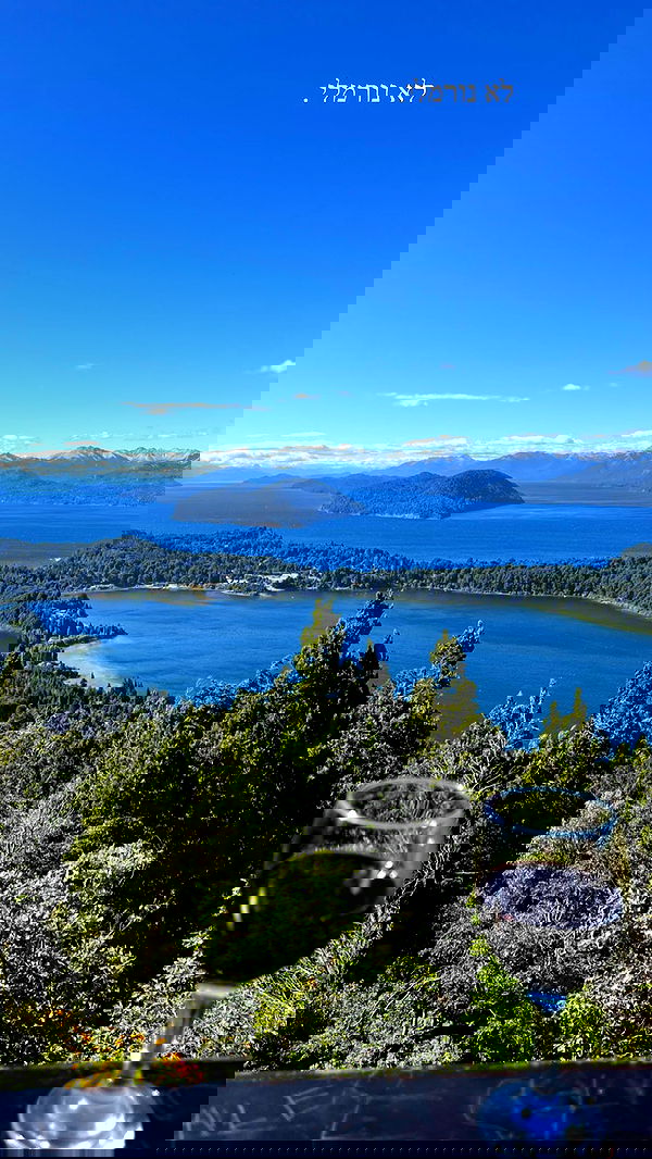 roni__moalem image ~ Altpins