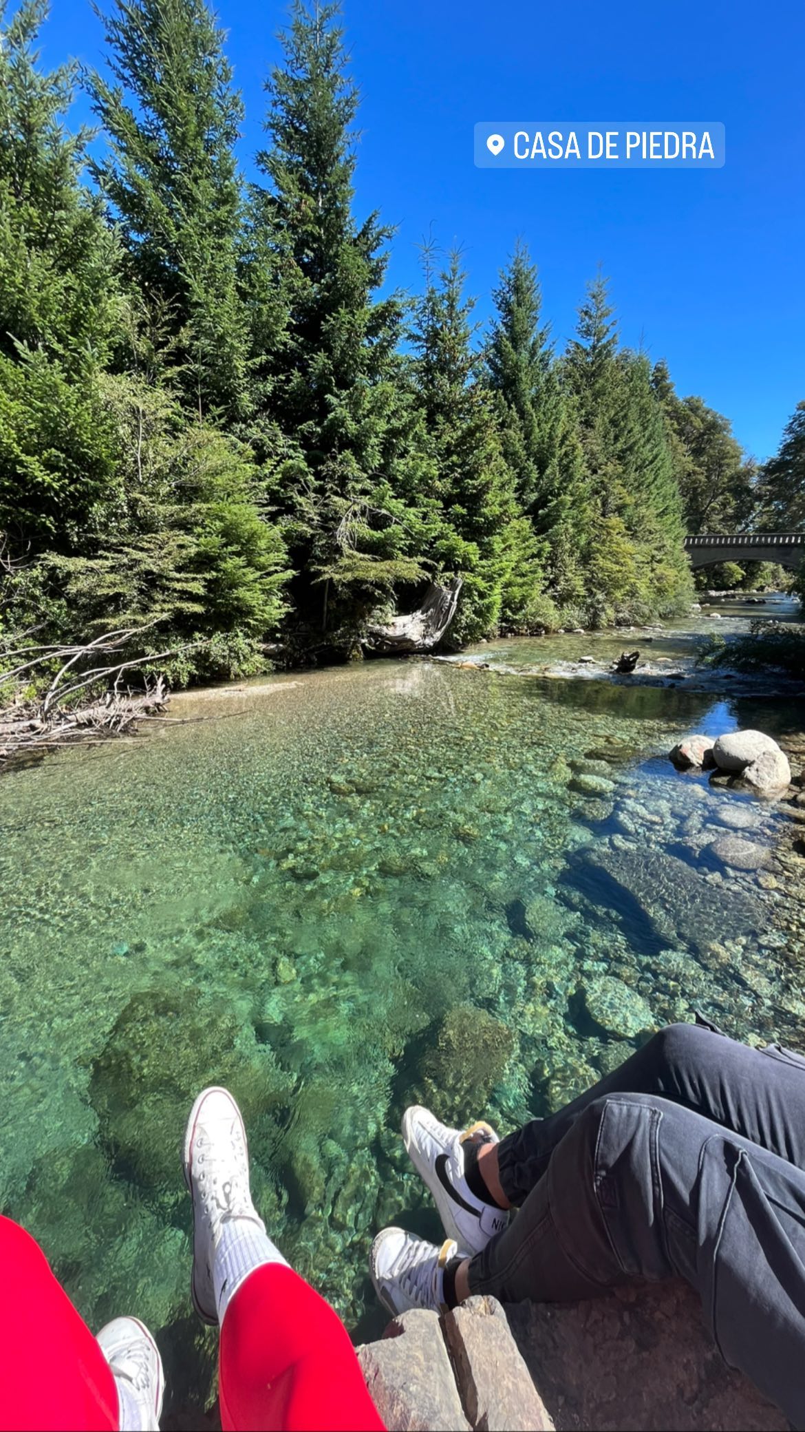 roni__moalem instagram image archive image