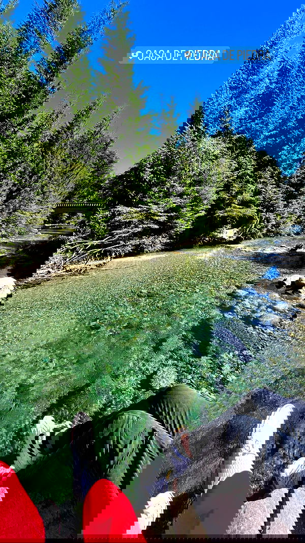 roni__moalem image ~ Altpins