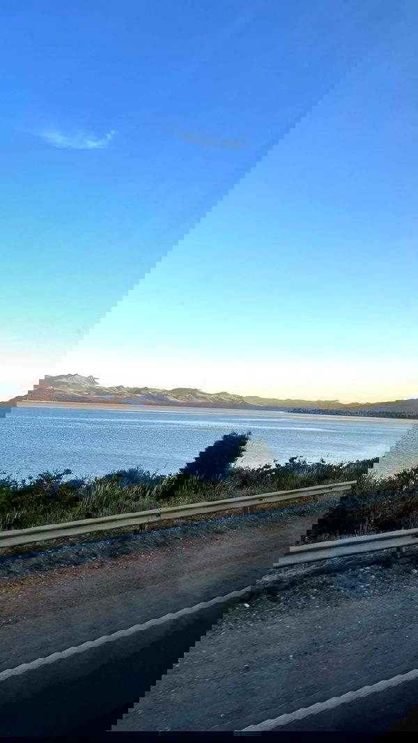 roni__moalem image ~ Altpins