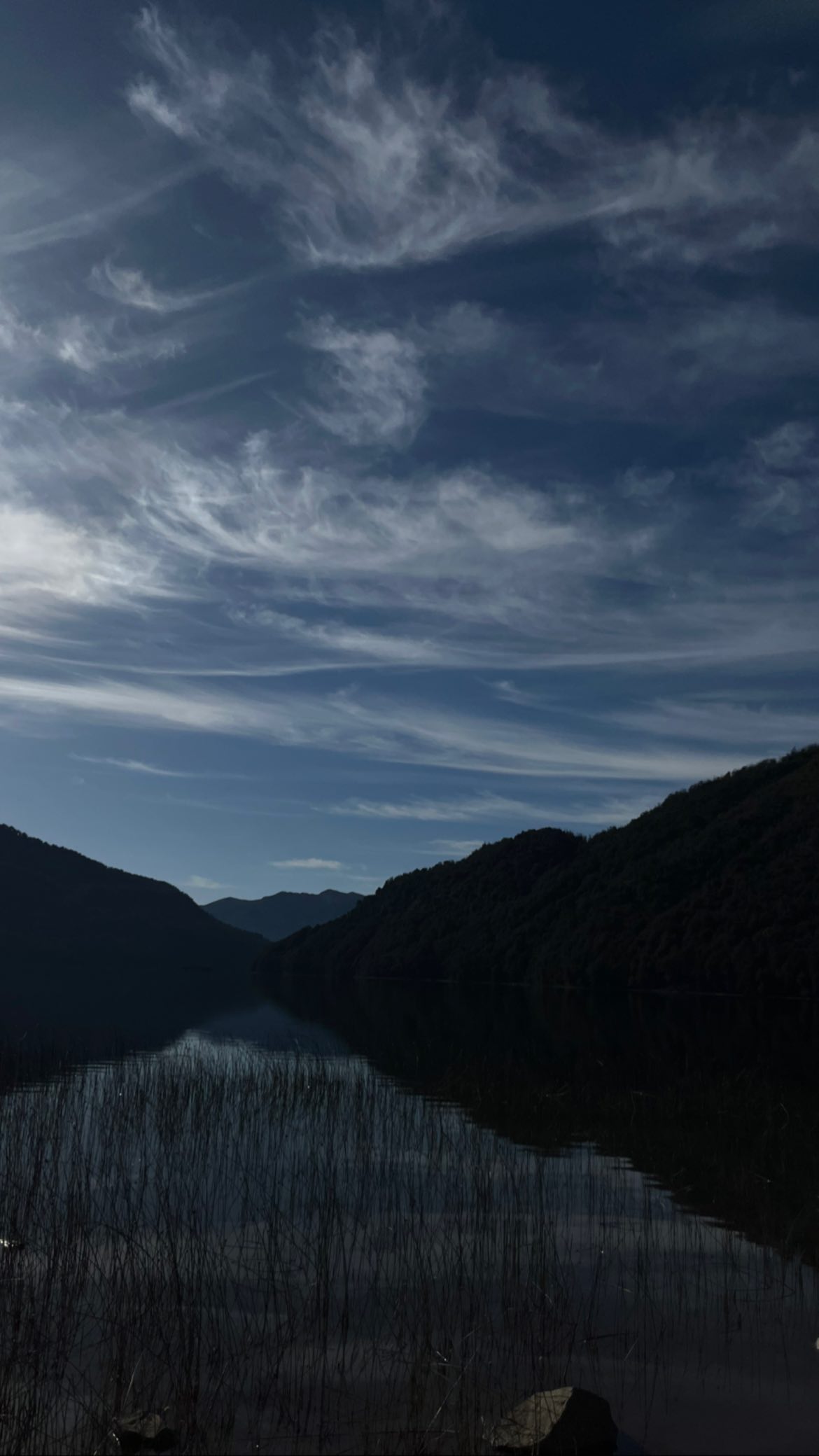 roni__moalem instagram image archive image