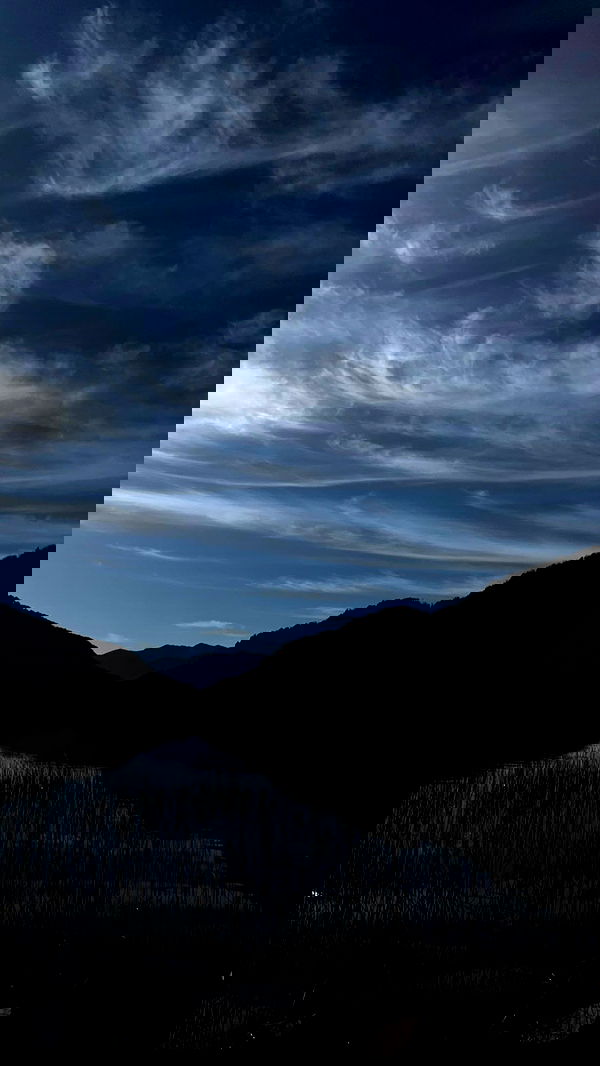 roni__moalem image ~ Altpins