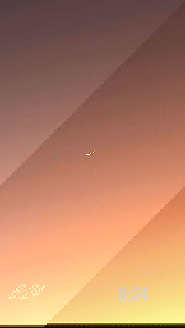 roni__moalem image ~ Altpins