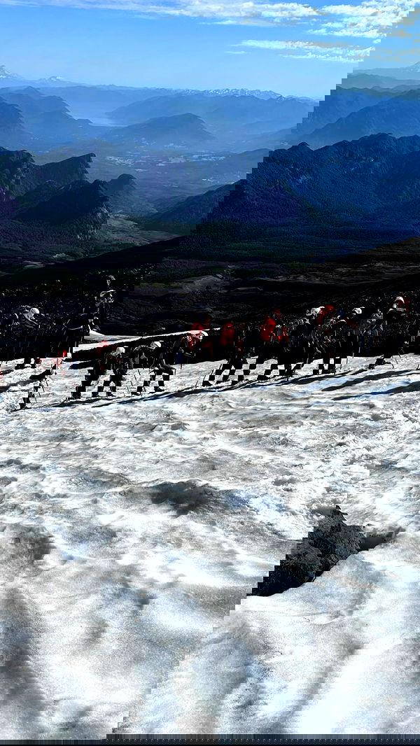 roni__moalem image ~ Altpins