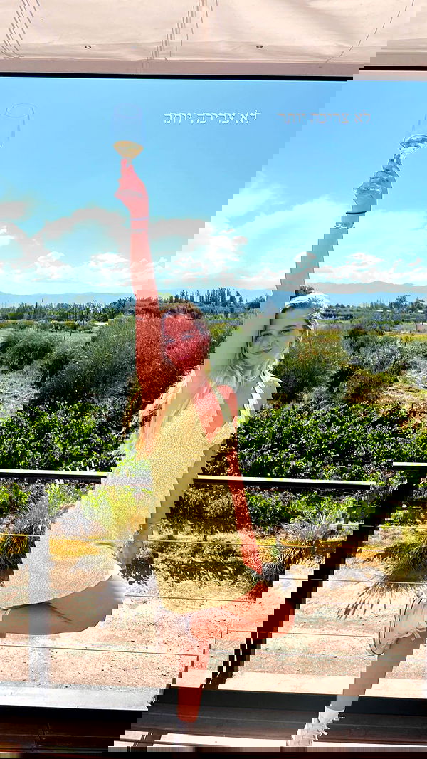 roni__moalem image ~ Altpins