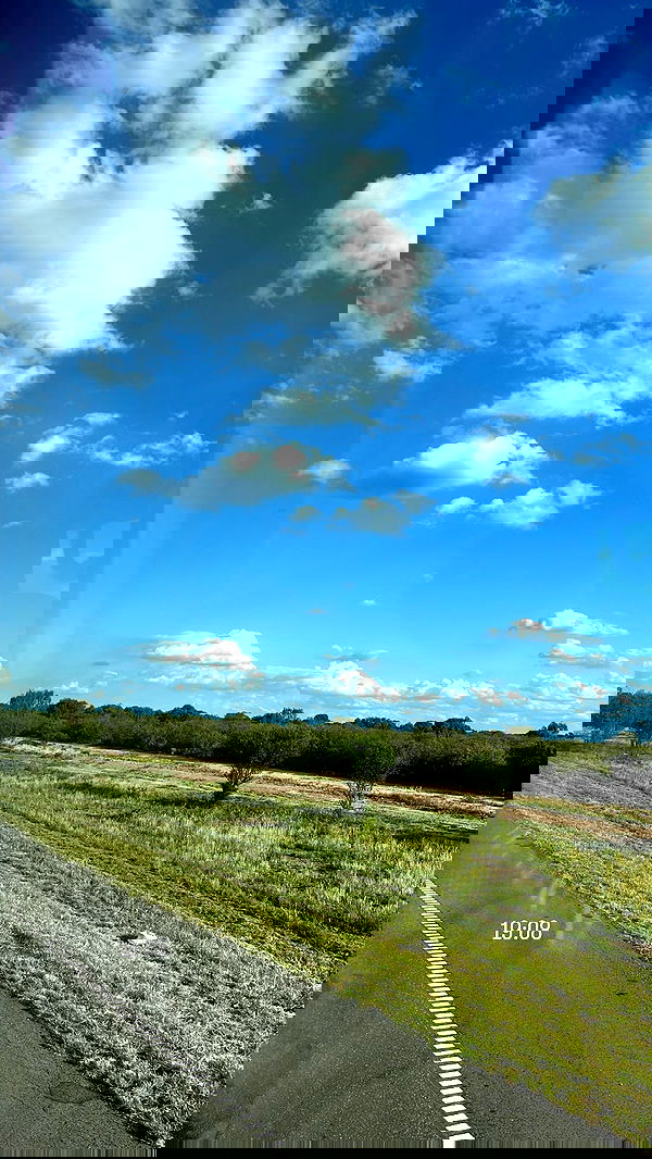 roni__moalem image ~ Altpins