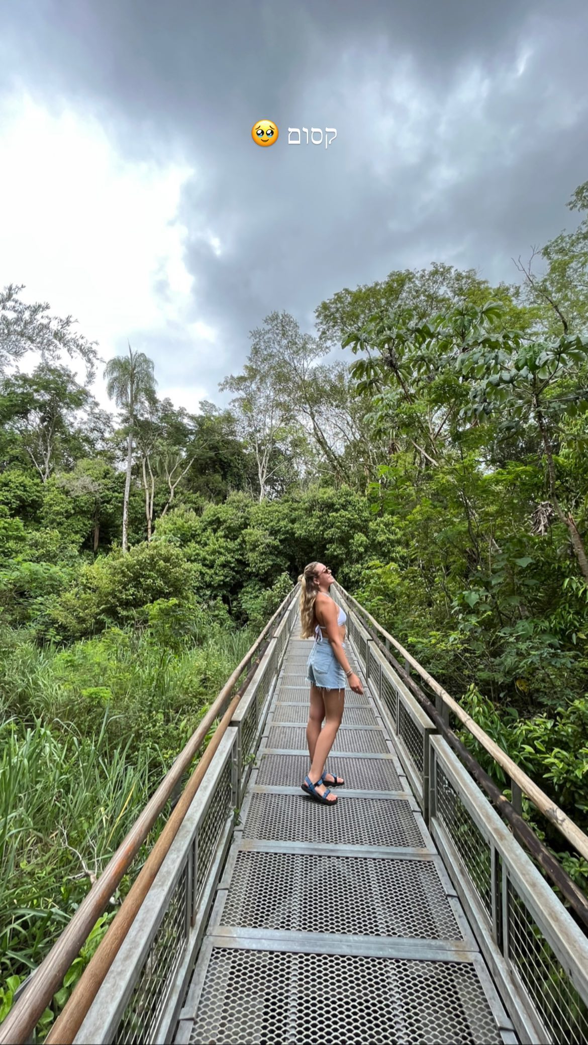 roni__moalem instagram image archive image