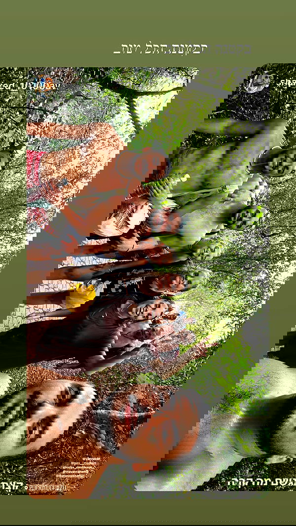 roni__moalem image ~ Altpins