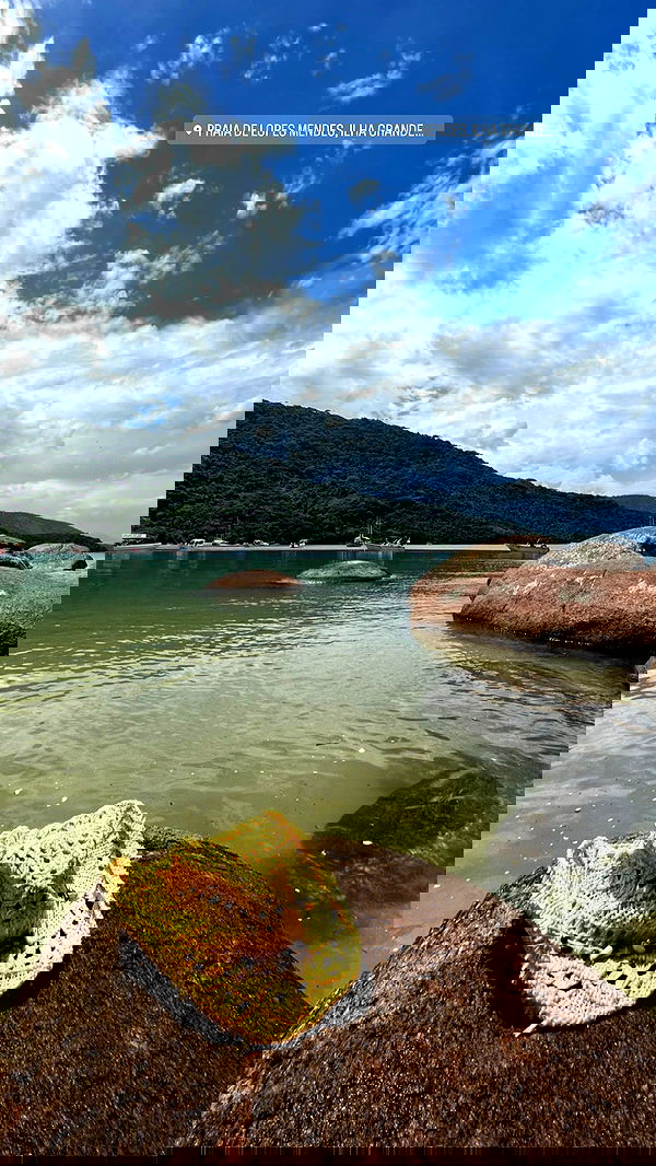 roni__moalem image ~ Altpins