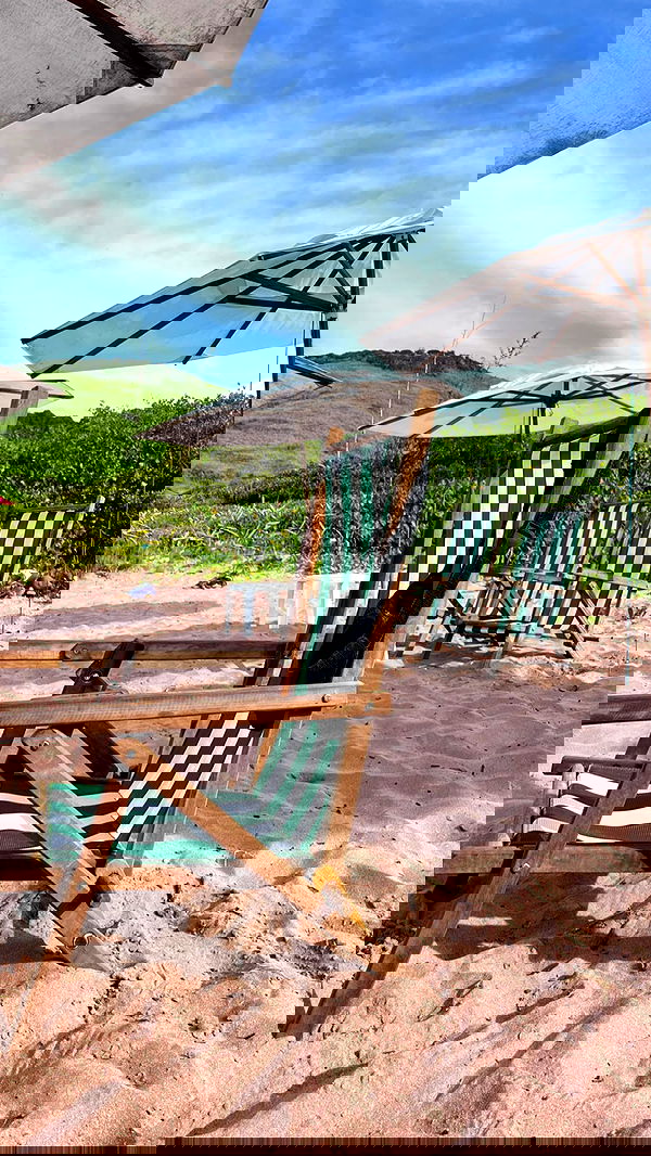 roni__moalem image ~ Altpins