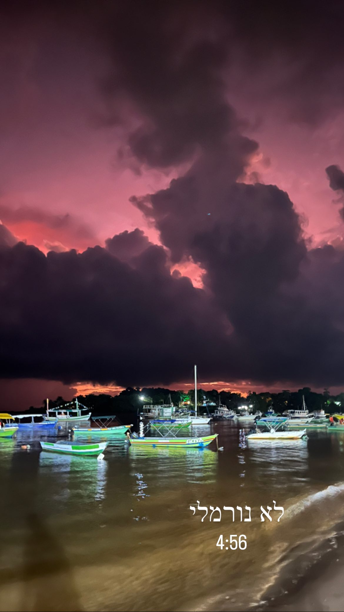 roni__moalem instagram image archive image