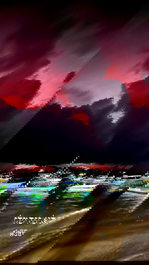 roni__moalem image ~ Altpins