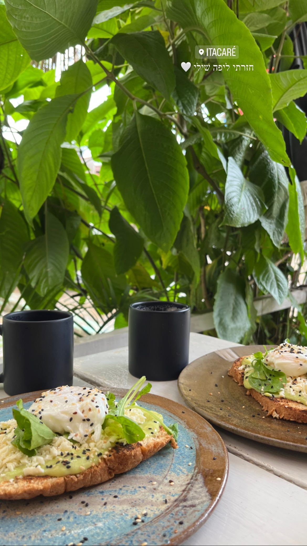 roni__moalem instagram image archive image