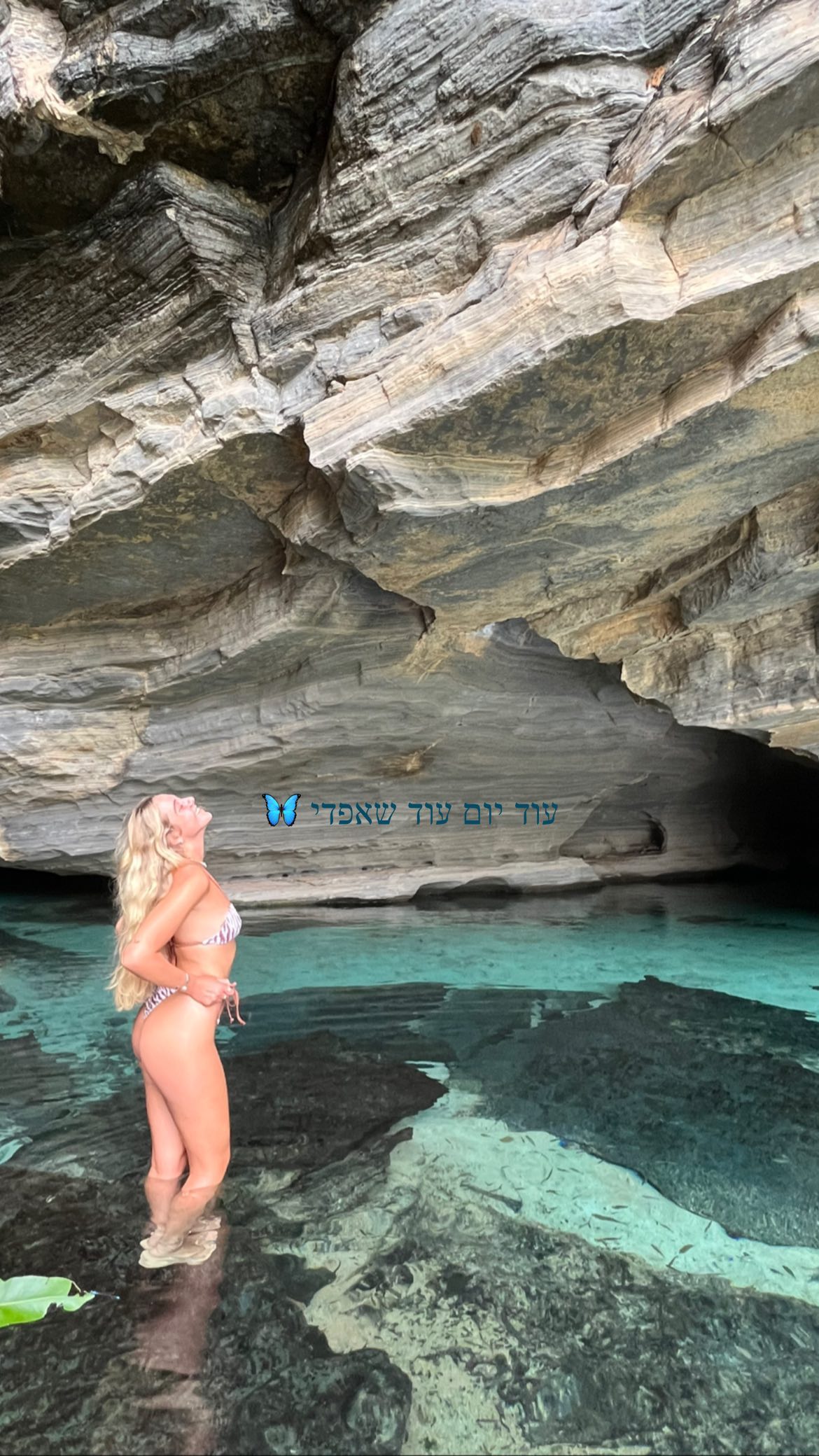 roni__moalem instagram image archive image