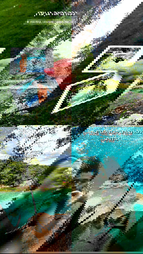 roni__moalem image ~ Altpins