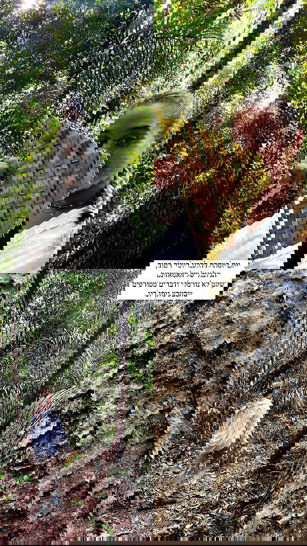 roni__moalem image ~ Altpins