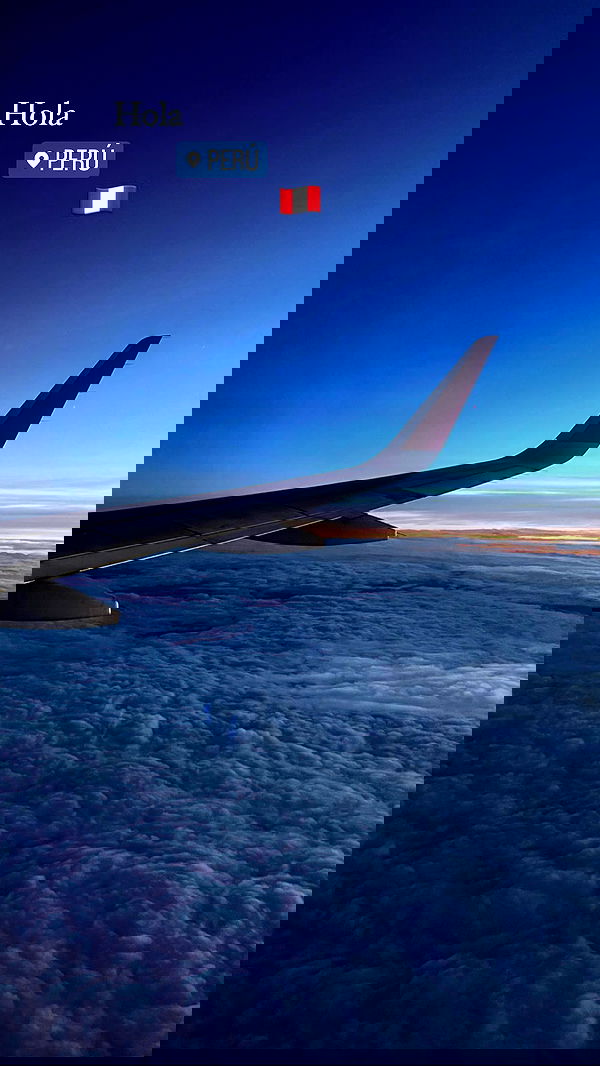 roni__moalem image ~ Altpins