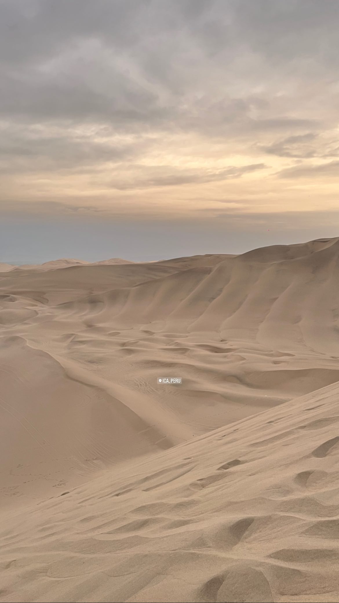 roni__moalem instagram image archive image