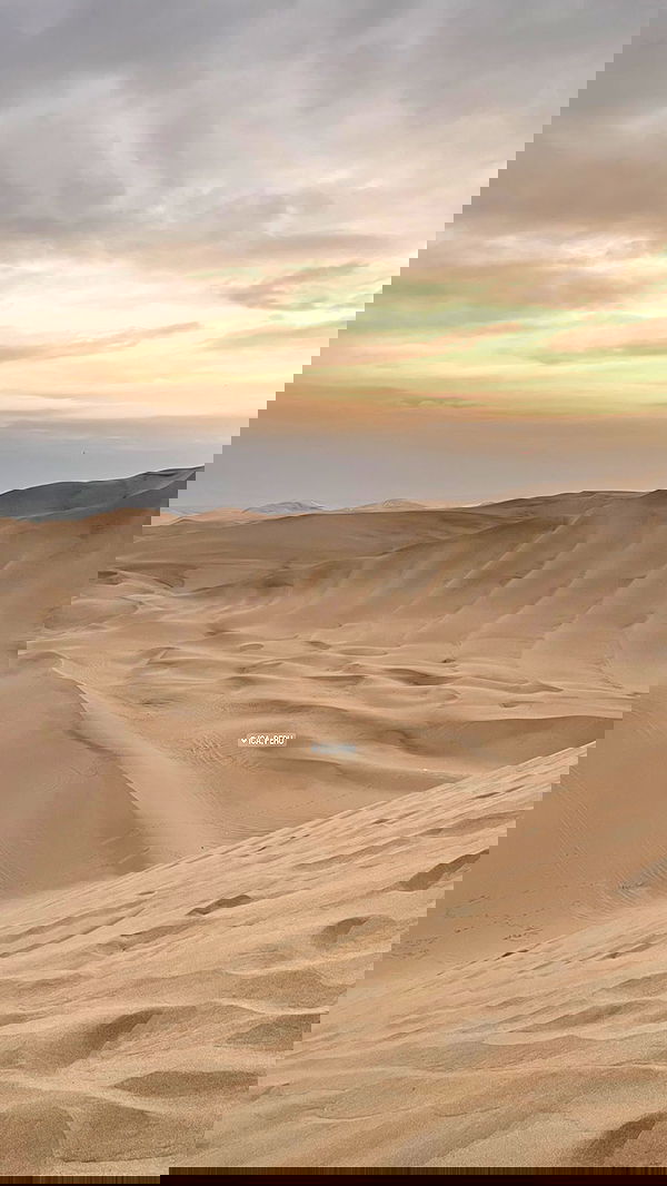 roni__moalem image ~ Altpins