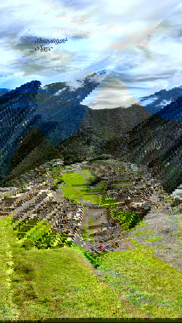 roni__moalem image ~ Altpins