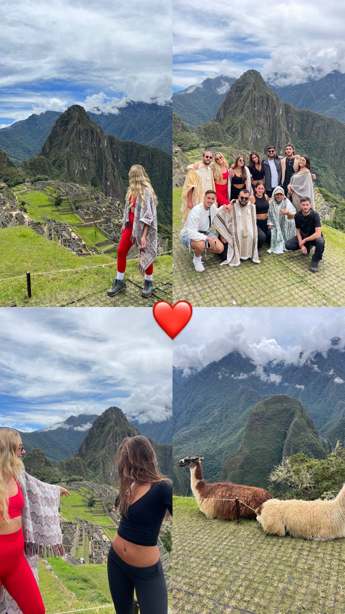 roni__moalem instagram image archive image