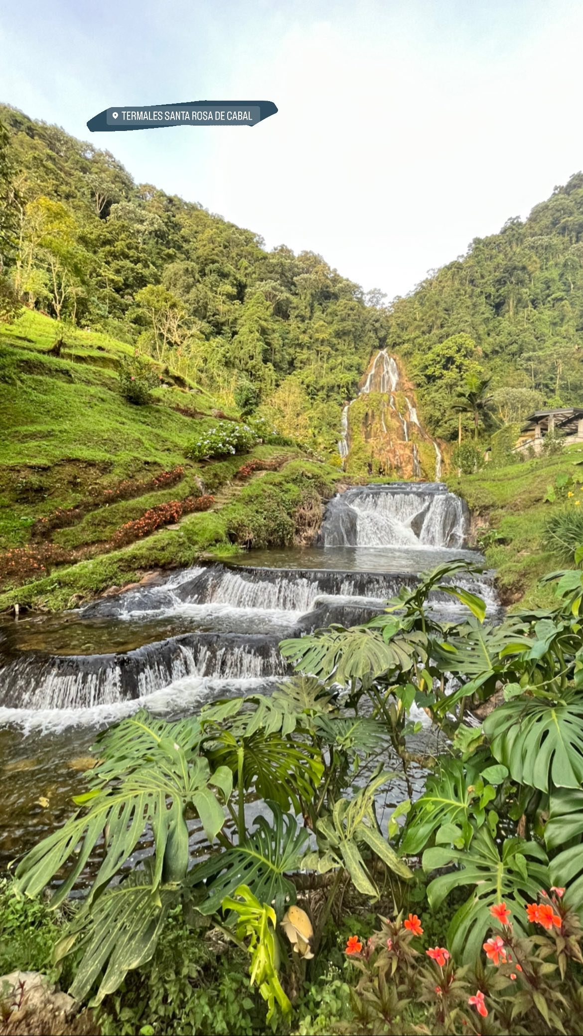 roni__moalem instagram image archive image