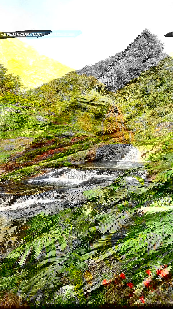 roni__moalem image ~ Altpins