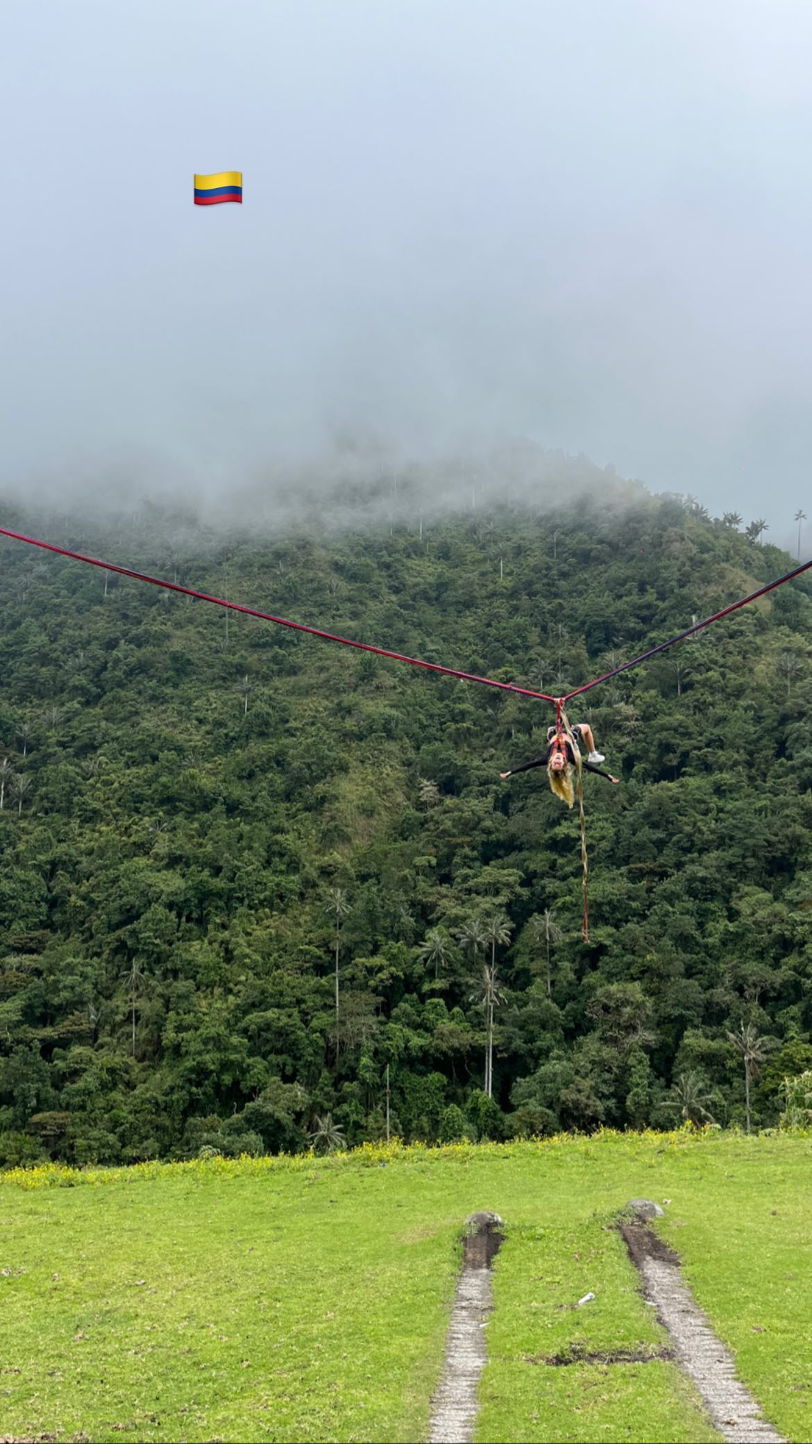 roni__moalem instagram image archive image