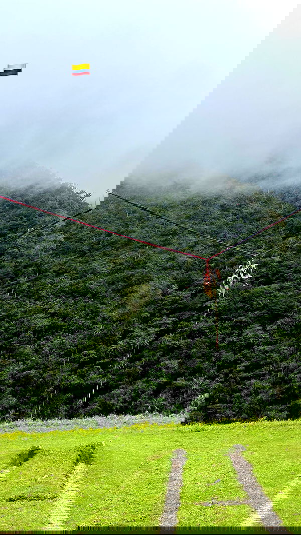 roni__moalem image ~ Altpins