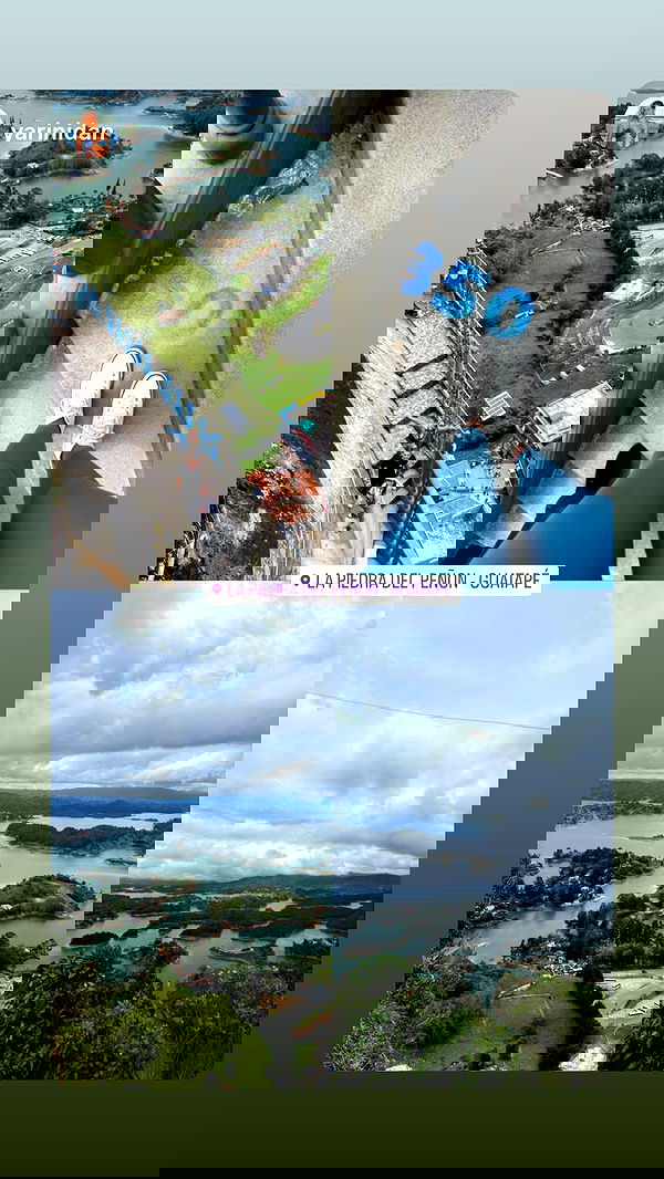 roni__moalem image ~ Altpins