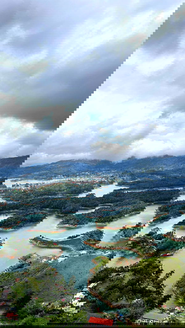 roni__moalem image ~ Altpins